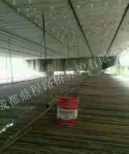 德陽(yáng)橋梁裂縫修補(bǔ)